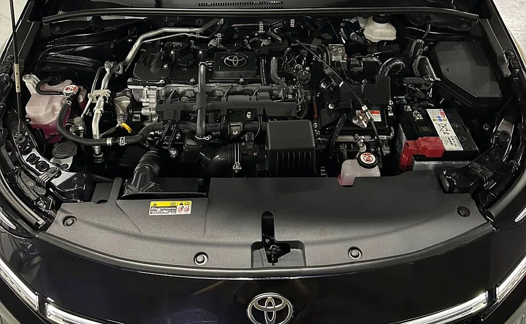 MDN